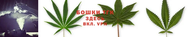 COCAINE Богородицк
