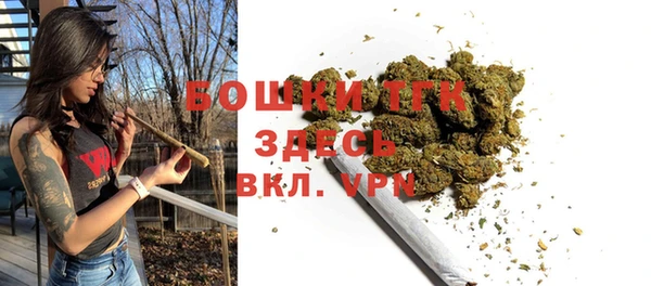 стаф Богданович