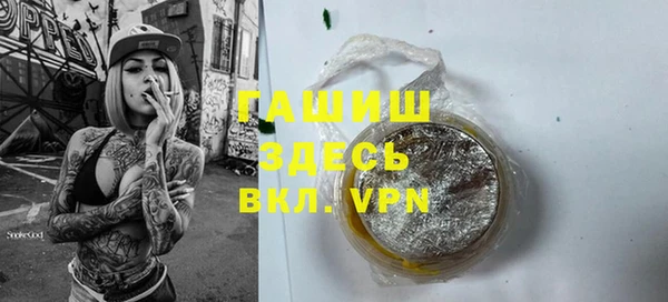 стаф Богданович