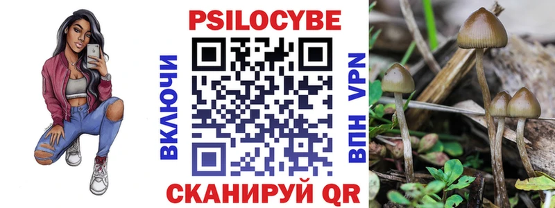 Псилоцибиновые грибы Psilocybine cubensis  кракен как зайти  Яранск 